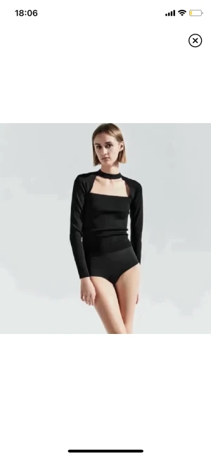 Zara tröja  - Säljer en liknande tröja från Zara som på första bilden, min har triangel formad cut out 