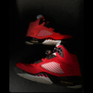 Air Jordan 5 retro ’Raging Bull  - Använd 1-2 gånger. Storlek 43. Kan mötas i Stockholm. Pris kan diskuteras.
