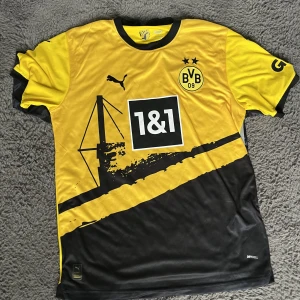 Dortmund 23/24 - Dortmund 