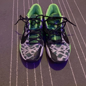 Nike Giannis zoom freak 2 - Basketskor, knappt använda, kommer med box