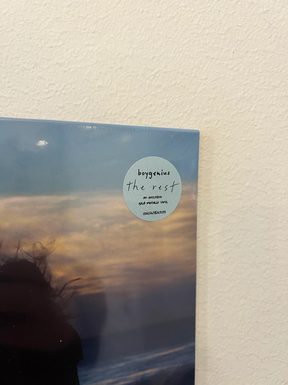 BOYGENIUS - THE REST 10” VINYLSKIVA  - 90