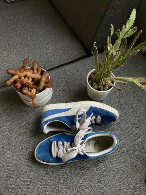Vintage Puma skor - Välskötta vintage puma skor 