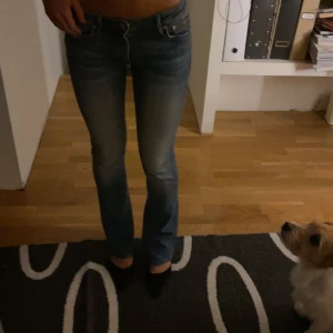 Lågmidjade jeans  - Säljer dessa jättesnygga ljusblå lågmidjade jeans, storlek 26/32 och passar mig som är vanligtvis en xs/s 
