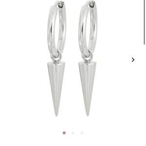 Edblad nya  - Örhängen från Edblad. Aldrig använda då det är silver och jag använder guld. Säljer för halva priset och kan mötas upp på söder alt frakta