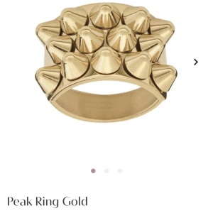 Edblad Peakring - Säljer denna fina ringen. Helt ny och nypris är 399 💗använd 0 gånger
