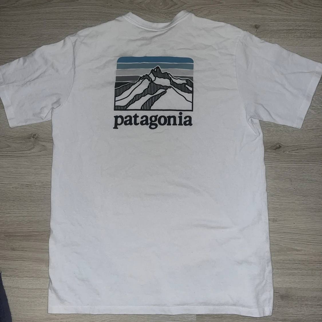 Patagonia t-shirt - 90