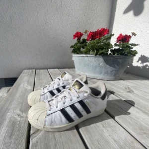 Adidas superstar - Adidas superstars i storlek 38 Väl använda, men inte använda på 5 år. Köpta för 1000 kr Rengjorda Lite gul sula Köparen står för frakten! Frakt ca 66 kr