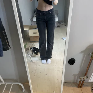 Lågmidjade jeans  - Lågmidjade jeans från Gina som aldrig kommer till användning, tvättas innan som skickas 