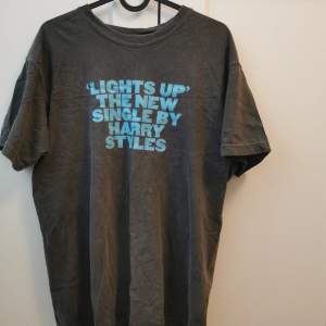 Harry Styles, limited edition merch. Mörkgrå tröja med blå text, lite av en oversize modell. Är i använt men bra skick. Pris kan diskuteras ✨