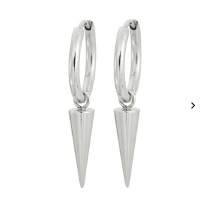 Edblad örhänge  - Säljer min silver Edblad örhänge jätte bra skick dom att köpa nya fast billigare 200kr har knappt använt säljer dom för jag har byt till guld. 