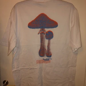 T-shirt - T-shirt från H&M med tryck. Använd ungefär 3 gånger. Bra skick. Köparen står för frakten.