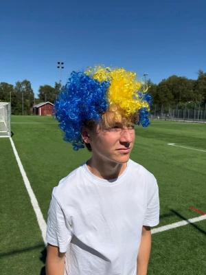 VM SVERIGE PERUK - Vill du visa att just du supportar VM i sommar, då ska du beställa hem en Vm peruk. Vi bor i Stockholm och kör gärna hem till dig som vill köpa en! Då kan du få peruken redan dagen efter att du beställt den! 