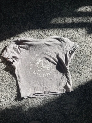 Grå Crop top - Grå Crop top med tryck av en drake. Använd en del men fortfarande i fint skick! Tunt material.