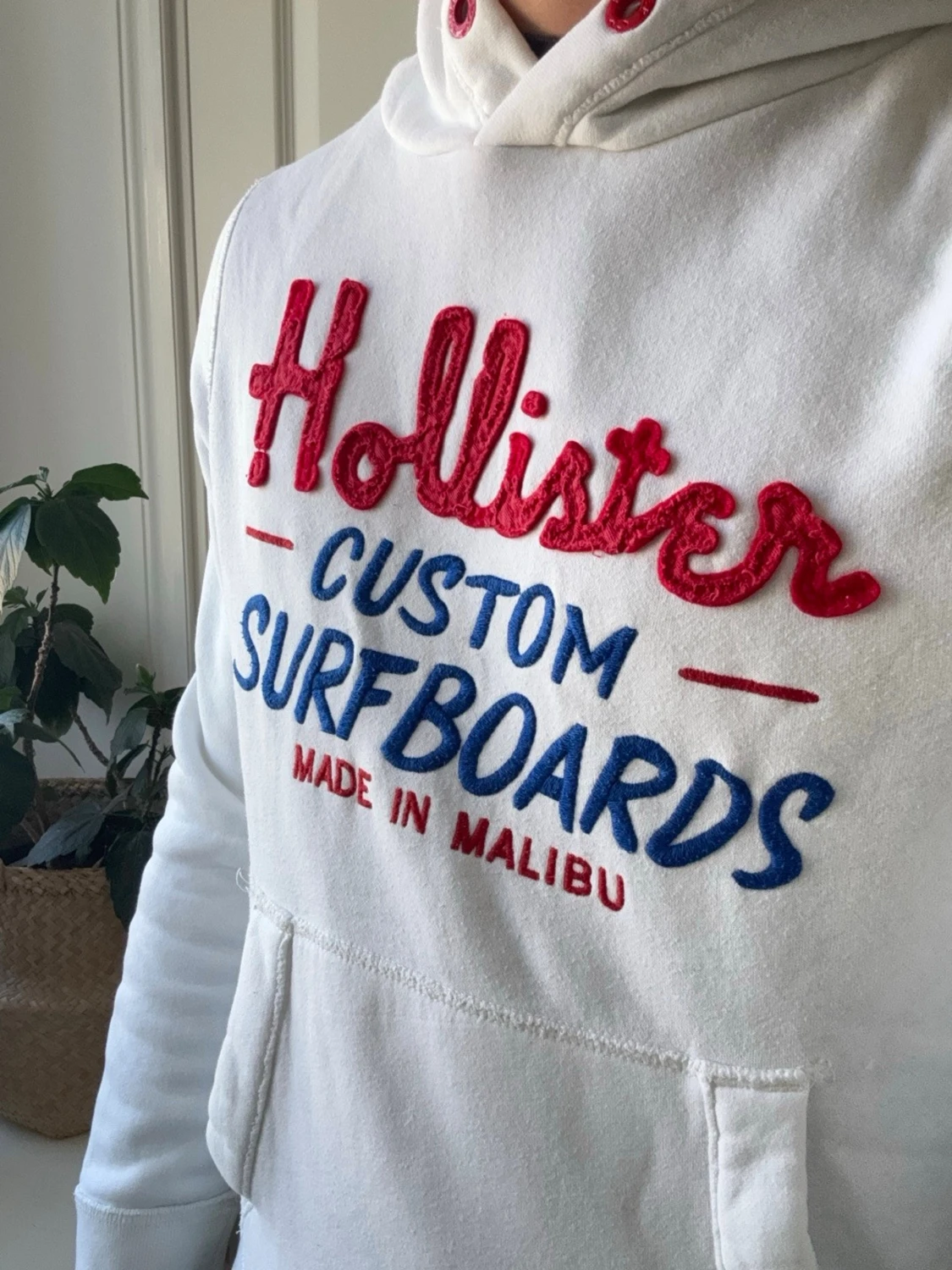 Hollister hoodie  - 1