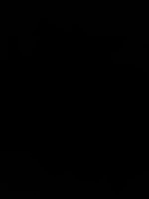 Byte  - Bilden är för mörk för att kunna identifiera eller beskriva varan.