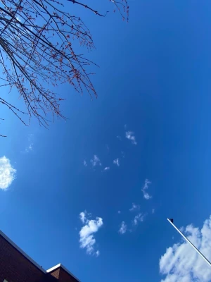 Blå himmel med moln och trädgrenar - Fotografi av en klarblå himmel med några små vita moln, tunna trädgrenar i övre vänstra hörnet och ett hustak samt en lyktstolpe i nederkant. Perfekt som dekorativ väggbild eller affisch.