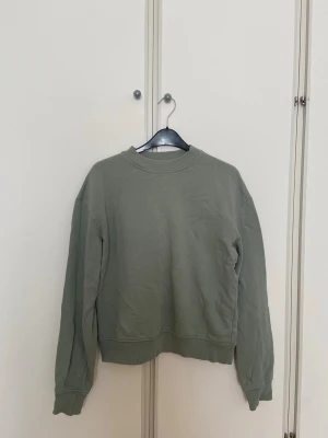 Mintgrön sweatshirt - Mintgrön sweatshirt i bomull med rund halsringning och ribbade muddar vid ärmslut och nederkant. 