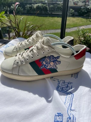 Gucci Ace  -  Rare Gucci ”ace there little pigs” bra skick skriv vid funderingar!