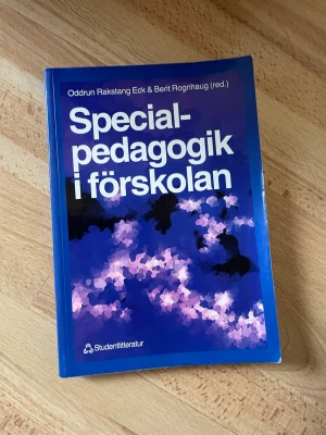 Specialpedagogik i förskolan - Boken 'Specialpedagogik i förskolan' av Oddrun Rakstang Eck & Berit Rognhaug är en kursbok med blått omslag och vit text. Den tar upp specialpedagogiska frågor i förskolan och riktar sig till studenter och yrkesverksamma inom pedagogik.