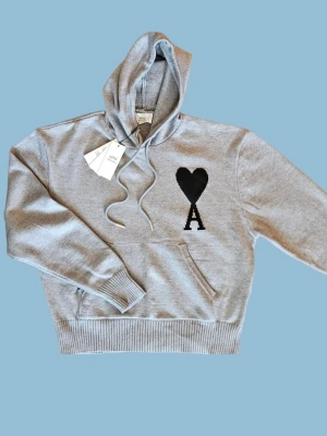 Grå hoodie från Ami Paris - Skön Hoodie från Ami Paris | Skick Mycket Bra I tags förekommer ej (gamla bilder) | Storlek S  I Färg Grå  I Pris diskuterbart 😊