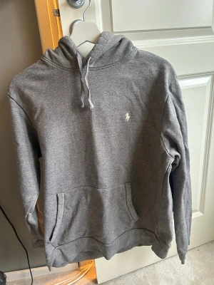 Grå hoodie från Polo Ralph Lauren - Snygg grå hoodie från Polo Ralph Lauren i ett fint skick. Strl M men passar S lite bättre. Den är i ett fint skick utan några defekter. Ny pris är 2300 ish men säljer för endast 550. 