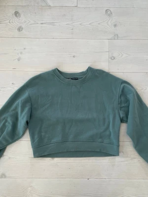 Grön/turkos  sweatshirt från Zara - Grön/turkos sweatshirt från Zara