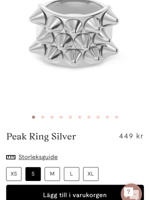 Peak Ring Silver med nitar - Säljer då jag använder guld💕