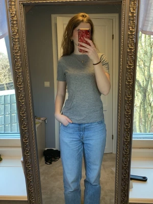 Grå basic t-shirt i bomull - En grå t-shirt i bomull med rund hals och korta ärmar.  Jag är 174 cm lång.