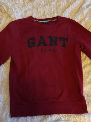 Gant tröja - Säljer den här jätte fina gant tröjan som endast är använd en gång😊