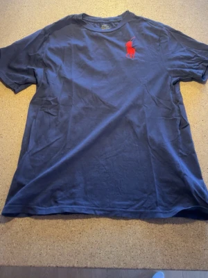 Blå t-shirt från Polo Ralph Lauren - Snygg blå t-shirt från Polo Ralph Lauren med klassisk röd broderad logga på bröstet. T-shirten har korta ärmar och är tillverkad i mjuk bomull som känns skön mot huden. Perfekt för dig som gillar stilrena plagg med ikoniska detaljer.