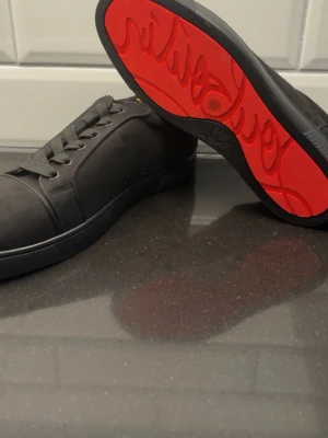 Christian Loubition  - ….