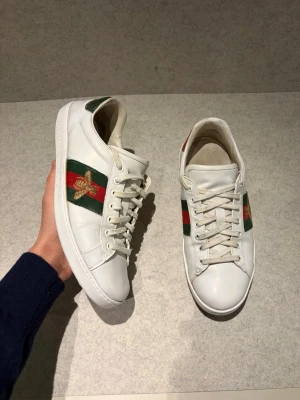 Gucci ace  - Rikigt feta Gucci ace för ett bra pris skorna är i storlek 8 vilket motsvara ungefär 42 allt på bilden ingår skofärg har andvänts för att fräsha upp dom bara att höra av dig vid frågor och funderingar eller för fler bilder skorna är självklart äkta 