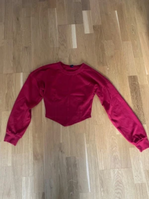 Röd långärmad korsettopp - Trendig röd långärmad topp med korsett-inspirerad midja och markerade sömmar. Toppen har rund halsringning och är croppad med en spetsig nederkant. Perfekt för dig som vill ha en edgy och snygg look.