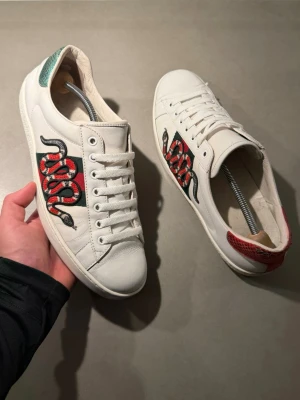 Gucci Skor - ‼️VI TAR INGA BYTEN‼️ Gucci ”Ace” Sneakers | Skick: 8,5/10 | Storlek UK 8 motsvarar 42-43 EU  | Tillkommer Gucci kort vid köp! | Frakt sker inom 24 timmar efter köp 📦💨 | Hör av dig vid minsta fråga eller fundering 💭