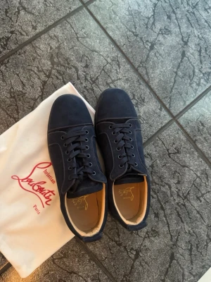 Christian Louboutin Marinblåa - Använda nån gång annars helt fräscha mycket bra skit och passar jättefint 