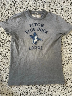 Abercrombie & Fitch T-Shirt - Grå Abercrombie & Fitch T-shirt | Storlek M | Bra skick | Längd: 63cm | Axelbredd: 36cm