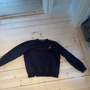 Mörkblå tröja - Snygg, inga defekter!