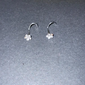 Silverfärgade nässkruvar med blommotiv - Två st likadana nässkruvar, köpta på piercingstudio. En är testad, annars aldrig använda. Rengjorda men kokat vatten🫶🏼100 kr styck eller båda för 170 kr. Kostade 199 kr styck nya.