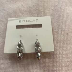 Silvriga örhängen från Edblad - Snygga silvriga örhängen från Edblad med en unik design av små spetsiga detaljer. Perfekta för att ge en edgy touch till din stil. Kommer på originalkortet.