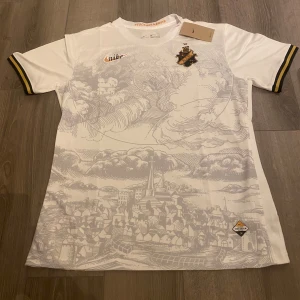AIK Fotbollströja - AIK Fotbollströja (OBS! Ej äkta matchtröja eller matchanvänd tröja) skriv för frågor eller funderingar!