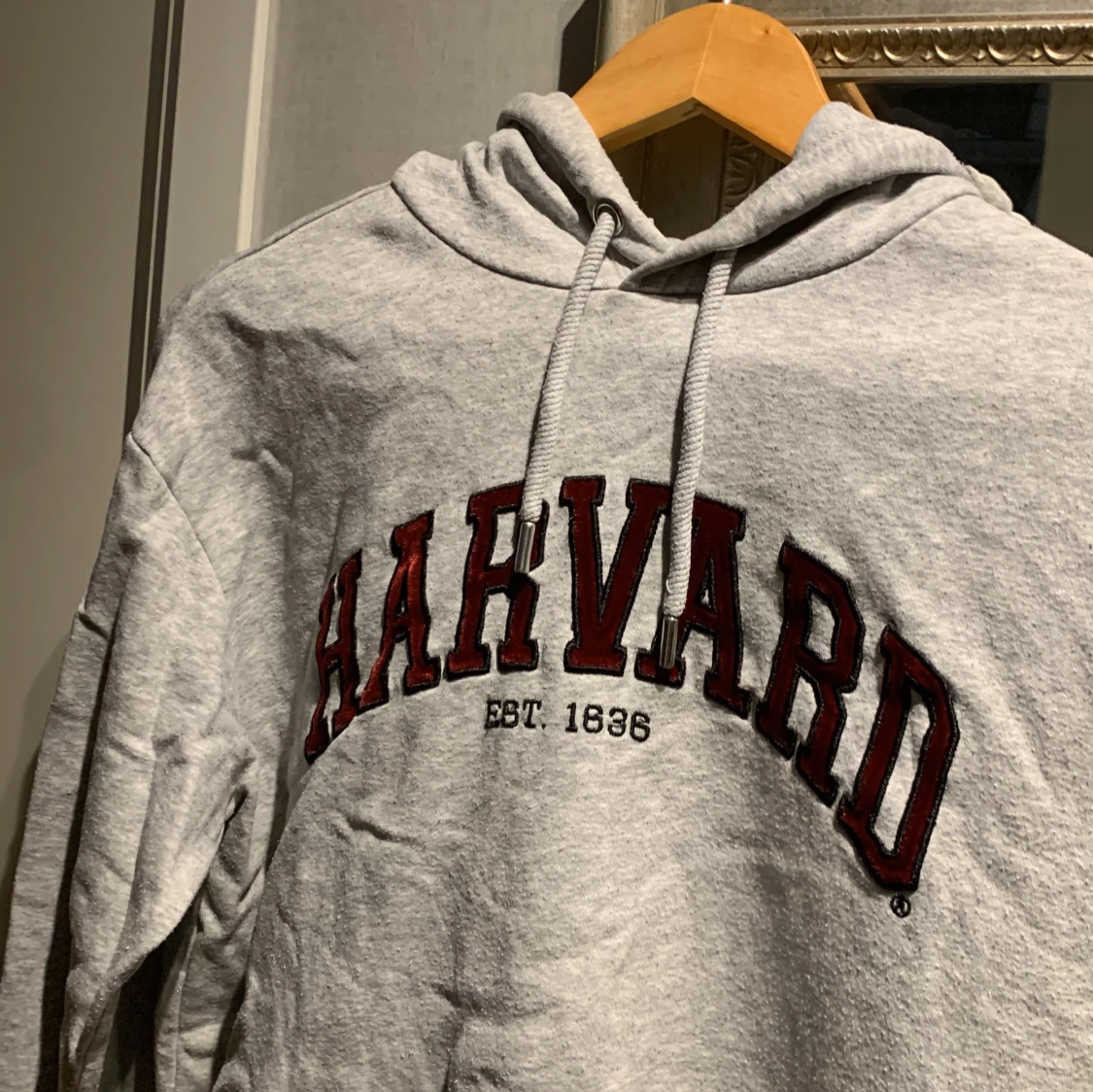 Grå Harvard hoodie - 2
