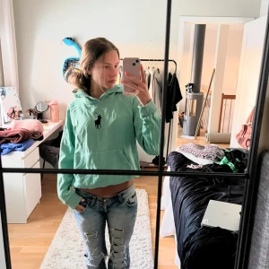 Mintgrön hoodie med tryck - Säljer en mintgrön hoodie med ett svart tryck av en häst på bröstet. Hoodien har en känguruficka och långa ärmar. Perfekt för en avslappnad stil.