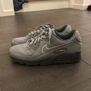 Säljer ett par grå Nike Air Max sneakers i mycket bra skick. De har blivit använda Max 10 gånger.  De har en stilren design med snörning och en bekväm sula. Perfekta för både vardag och träning. Storlek är inte specificerad, men de ser ut att passa en normal passform.