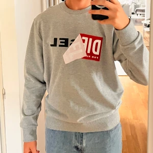 Diesel långärmad crewneck - Aldrig använd, grå, ny, snygg Diesel tröja.  10/10 skick 