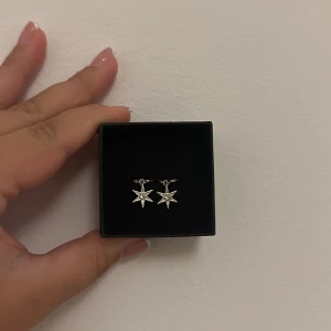 Silver orhänge  - Fått som present men aldrig använt!! 