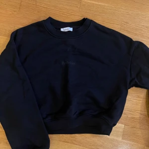 Sweatshirt  - Snygg svart sweatshirt från Rodebjer. Använd fåtal gånger. Lite kortare modell