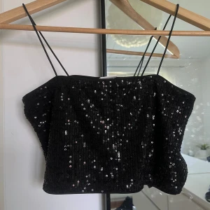 Svart paljettbeströdd tubtopp - Säljer en snygg kort svart tubtopp med paljetter. Toppen har smala axelband och är perfekt för festliga tillfällen. Den är i nyskick och passar bra till både kjol och byxor. Perfekt för en utekväll eller en speciell fest!