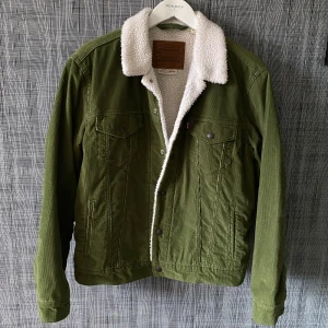 Levis Jacka - Säljer en snygg grön jacka från Levi's i nyskick || skick 10/10 || aldrig använd då den inte riktigt passar mig i smaken || köpt från Levi’s butik så kvitto finns || nypris runt 1500-2000 || hör av dig vid frågor eller funderingar! || mvh ||