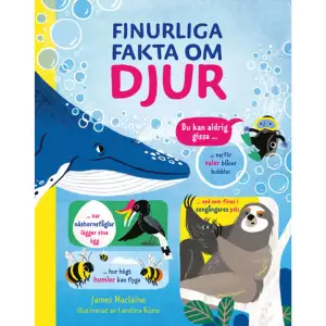 Du kan aldrig gissa... Varför valar blåser bubblor? Varför sengångare blir gröna när det regnar? Var näshornsfåglar lägger sina ägg? Hur högt humlor kan flyga?Den här boken är full med den typen av finurliga och annorlunda fakta. Perfekt för alla nyfikna barn!    Format Inbunden   Omfång 64 sidor   Språk Svenska   Förlag Tukan Förlag   Utgivningsdatum 2022-07-04   Medverkande Carolina Búzio   Medverkande Karin Johnsson   ISBN 9789179858513  