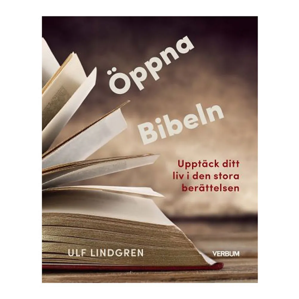 Bibeln innehåller många berättelser, men bakom dem anar vi den Stora berättelsen. Den om hur människan mognar och utvecklas, lär sig att tänka själv och agera moraliskt. Den om hur Gud förändras i relationen med människan. Den Stora berättelsen handlar om människor som är ömsom heliga och ömsom hopplösa men som oavsett söker och finner Gud.  Öppna Bibeln vill hjälpa dig att se de gamla bibeltexterna inte i första hand som historiska dokument utan som berättelser som också handlar om ditt liv idag. Kanske misslyckas du som David och Petrus? Finner du en inre styrka som Rut och Maria Magdalena? I de frågor som avslutar varje avsnitt inbjuds du att upptäcka ditt liv i texternas berättelser. Då blir texterna relevanta. Boken introducerar det judiska tänkandet för en kristen läsare. Rabbinerna har genom seklerna betonat att Gud vill att människa ska tänka själv och våga ifrågasätta allt, även Gud. I ljuset av det judiska tänkandet får också Jesus sätt att agera och tala ny innebörd.  Öppna Bibeln riktar sig till den som läst Bibeln mycket eller lite. Boken avslutas med handledningsfrågor så att den också kan användas i studiecirklar.   PRESS: 